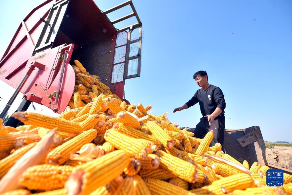 ag讯视是什么
